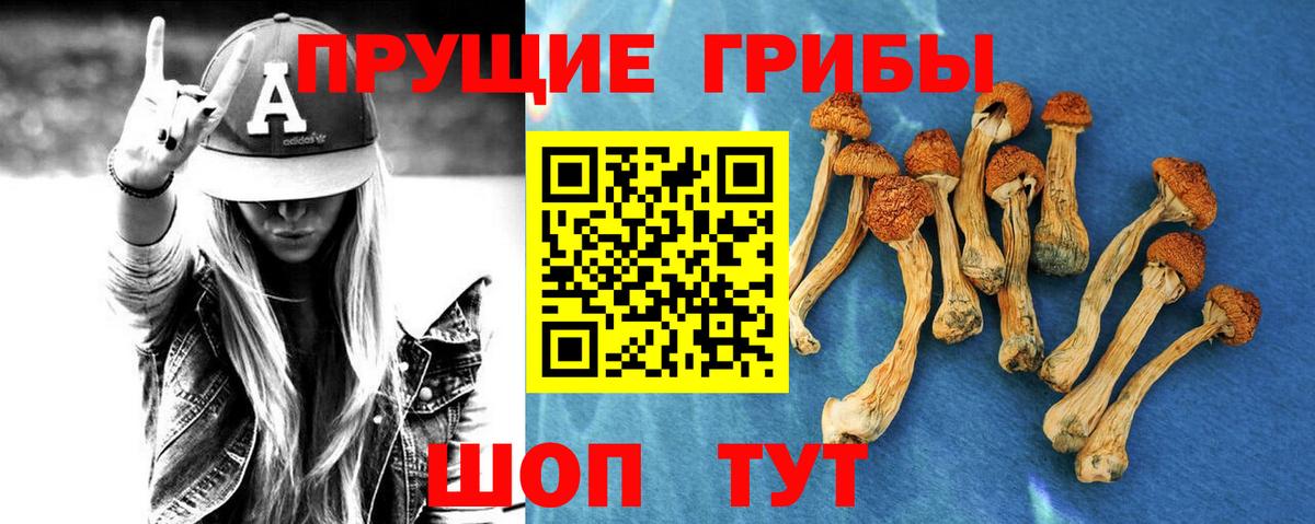 Псилоцибиновые грибы Cubensis  Вход с VPN  Галлюциногенные грибы Magic Shrooms  Ростов Великий 